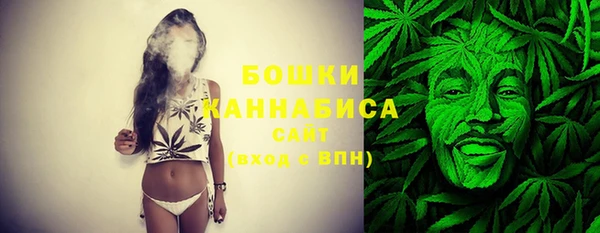 PSILOCYBIN Баксан