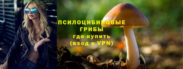 PSILOCYBIN Баксан