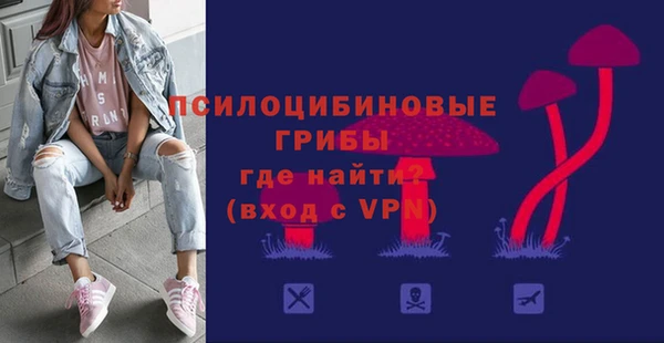 PSILOCYBIN Баксан