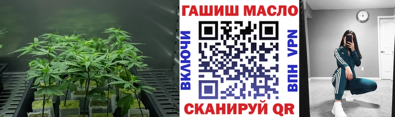 ТГК вейп с тгк  Кодинск 